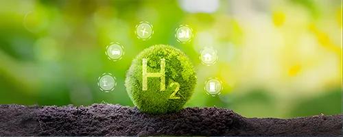 Green Hydrogen & Ammonia